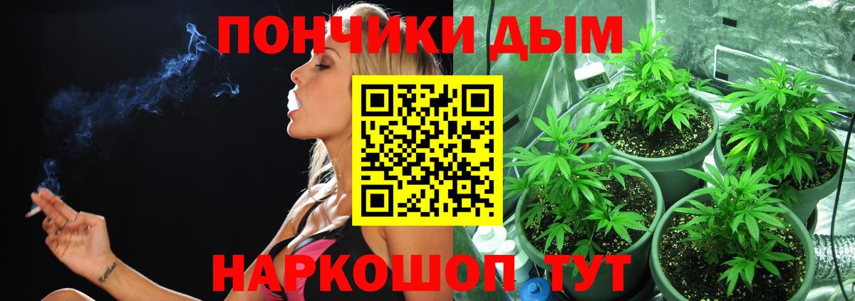 Бошки марихуана семена Отрадный